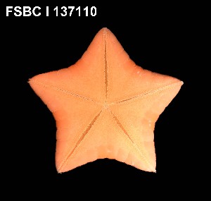  ( - 137110-1248)  @11 [ ] CCbyNC (2022) Fish and Wildlife Research Institute Fish and Wildlife Research Institute