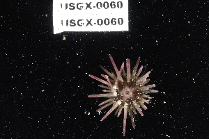  ( - USGX-0060)  @11 [ ] CreativeCommons - Attribution Non-Commercial Share-Alike (2018) Unspecified Fish and Wildlife Research Institute