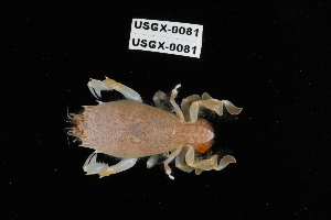  ( - USGX-0081)  @11 [ ] CreativeCommons - Attribution Non-Commercial Share-Alike (2018) Unspecified Fish and Wildlife Research Institute