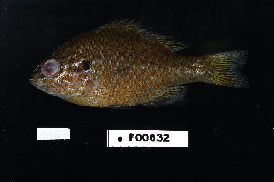  ( - FWRI_5020)  @11 [ ] by-nc-sa (2023) Fish and Wildlife Conservation Commission Fish and Wildlife Research Institute