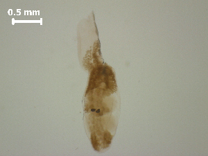  ( - D.IN.1.Fd.L39W.1)  @13 [ ] Copyright (2010) Sean Locke Environment Canada