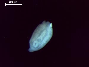  ( - D.L.Ns.MPP.4.10)  @13 [ ] Copyright (2010) Sean Locke Environment Canada