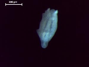  ( - D.L.Ns.MPP.4.9)  @13 [ ] Copyright (2010) Sean Locke Environment Canada