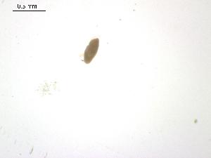  ( - D.RL.D.R.14.1)  @12 [ ] Copyright (2010) Sean Locke Environment Canada