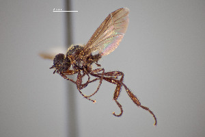  ( - FMNHINS4573334)  @11 [ ] CC BY-NC 4.0 (2013) Field Museum of Natural History Unspecified