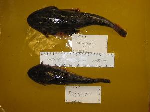  ( - UW047689)  @13 [ ] Unspecified (default): All Rights Reserved  Unspecified Unspecified