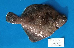  ( - UW048835)  @13 [ ] Unspecified (default): All Rights Reserved  Unspecified Unspecified