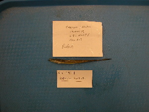  ( - UW119991)  @12 [ ] Unspecified (default): All Rights Reserved  Unspecified Unspecified