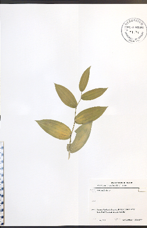 ( - NTW1073)  @11 [ ] CreativeCommons - Attribution  Unspecified Centre for Biodiversity Genomics