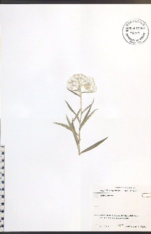  ( - NTW1145)  @11 [ ] CreativeCommons - Attribution  Unspecified Centre for Biodiversity Genomics
