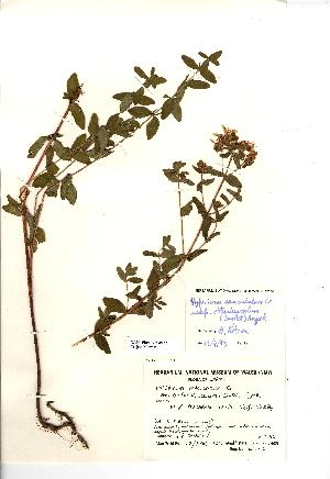  ( - NMW443)  @11 [ ] CreativeCommons - Attribution (2012) Unspecified National Museum Wales