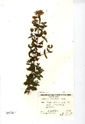  ( - NMW7787)  @11 [ ] CreativeCommons - Attribution (2012) National Museum Wales National Museum Wales