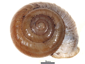  ( - BIOUG15235-H09)  @11 [ ] CreativeCommons - Attribution (2014) CBG Photography Group Centre for Biodiversity Genomics