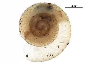  ( - BIOUG27664-A01)  @11 [ ] CreativeCommons - Attribution (2016) CBG Photography Group Centre for Biodiversity Genomics