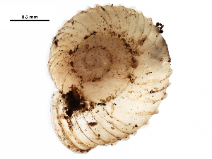  ( - BIOUG27664-B02)  @12 [ ] CreativeCommons - Attribution (2016) CBG Photography Group Centre for Biodiversity Genomics