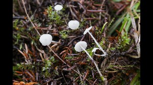 ( - GAJ.16983)  @11 [ ] by-nc (2023) Tapio Kekki Unspecified