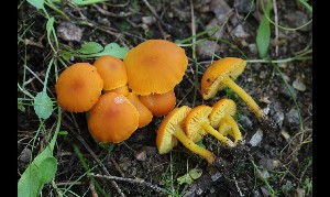  ( - GAJ.17064)  @11 [ ] by-nc (2024) Tapio Kekki Unspecified