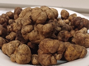  (Tuber rapaeodorum - GAJ.19447)  @11 [ ] by-nc (2024) Satu Kaleva Unspecified