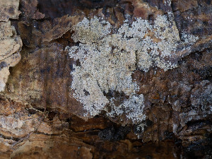  ( - GAVA.651)  @11 [ ] by-nc (2024) Teppo Helo Unspecified