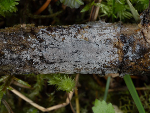  ( - GAVA.715)  @11 [ ] by-nc (2024) Teppo Helo Unspecified