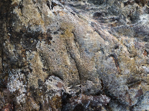  ( - GAVA.765)  @11 [ ] by-nc (2025) Teppo Helo Unspecified