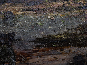  ( - GAVA.811)  @11 [ ] by-nc (2021) Teppo Helo Unspecified