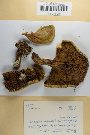  ( - H6079500)  @11 [ ] by-nc (2021) Marko Mutanen University of Oulu