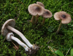  ( - TFU.216873)  @11 [ ] by-nc (2023) Jukka Vauras Unspecified