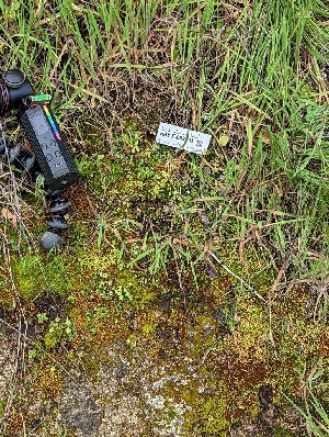  ( - HAY-F-002053)  @11 [ ] by-nc (2023) Stu Pickell Fungal Diversity Survey