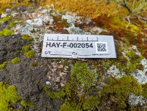  ( - HAY-F-002054)  @11 [ ] by-nc (2023) Stu Pickell Fungal Diversity Survey