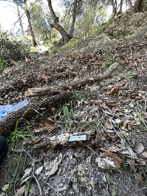  ( - HAY-F-001328)  @11 [ ] by-nc (2023) Aaron Tupac Fungal Diversity Survey