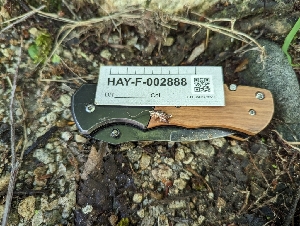  ( - HAY-F-002888)  @11 [ ] by-nc (2023) Stu Pickell Fungal Diversity Survey