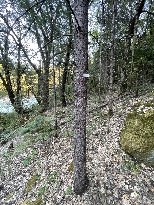  ( - HAY-F-004178)  @11 [ ] by-nc (2023) Jaren Hockert Fungal Diversity Survey