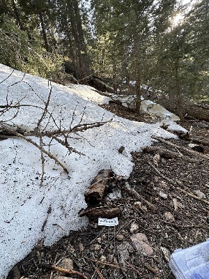  ( - HAY-F-001218)  @11 [ ] by-nc (2023) Aaron Tupac Fungal Diversity Survey