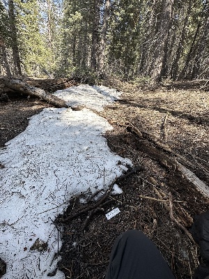  ( - HAY-F-001356)  @11 [ ] by-nc (2023) Aaron Tupac Fungal Diversity Survey