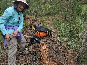  ( - HAY-F-005288)  @11 [ ] by-nc (2023) Warren Cardimona Fungal Diversity Survey