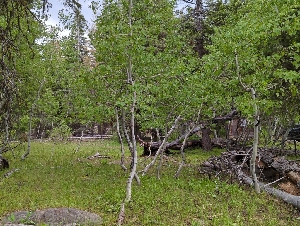 ( - HAY-F-004892)  @11 [ ] by-nc (2023) Warren Cardimona Fungal Diversity Survey