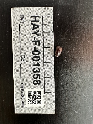  ( - HAY-F-001358)  @11 [ ] by-nc (2023) Aaron Tupac Fungal Diversity Survey