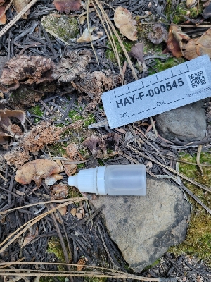  ( - HAY-F-000545)  @11 [ ] by-nc (2023) Harte Singer Fungal Diversity Survey