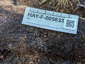  ( - HAY-F-005825)  @11 [ ] by-nc (2023) Stu Pickell Fungal Diversity Survey