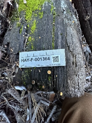  ( - HAY-F-001364)  @11 [ ] by-nc (2023) Aaron Tupac Fungal Diversity Survey