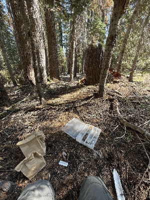  ( - HAY-F-006552)  @11 [ ] by-nc (2023) Damon Tighe Fungal Diversity Survey