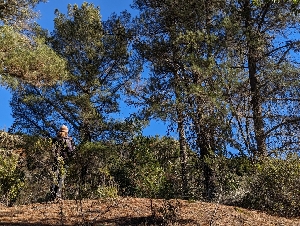  ( - HAY-F-008004)  @11 [ ] by-nc (2023) Warren Cardimona Fungal Diversity Survey