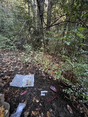  ( - FDS-CA-00503)  @11 [ ] by-nc (2023) Damon Tighe Fungal Diversity Survey