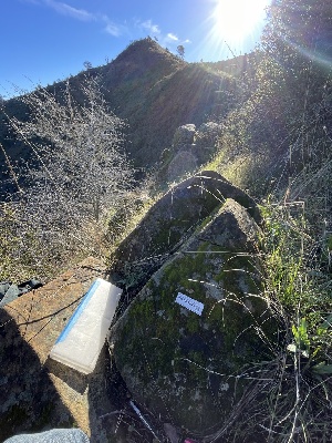  ( - FDS-CA-00528)  @11 [ ] by-nc (2024) Damon Tighe Fungal Diversity Survey