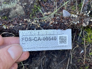  ( - FDS-CA-00540)  @11 [ ] by-nc (2024) Damon Tighe Fungal Diversity Survey