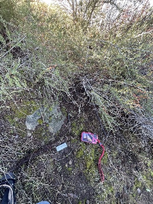  ( - FDS-CA-00540)  @11 [ ] by-nc (2024) Damon Tighe Fungal Diversity Survey