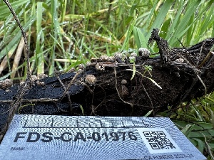  ( - FDS-CA-01976)  @11 [ ] by-nc (2024) Aaron Tupac Fungal Diversity Survey
