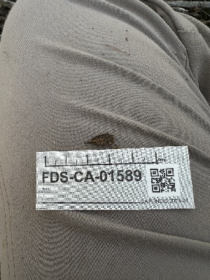  ( - FDS-CA-01589)  @11 [ ] c (2024) Rudy Diaz Fungal Diversity Survey