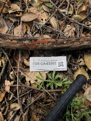  ( - FDS-CA-03302)  @11 [ ] by (2024) Justin Paulin Fungal Diversity Survey